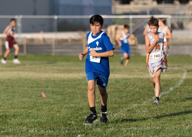 MWP 2168